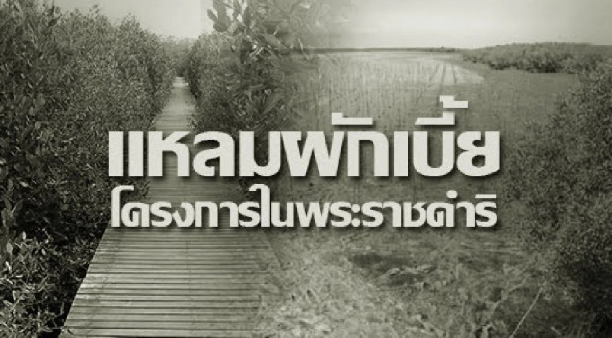"แหลมผักเบี้ย"โมเดลแก้ปัญหาน้ำเสียของพ่อสู่ความยั่งยืน "แหลมผักเบี้ย"โมเดลแก้ปัญหาน้ำเสียของพ่อสู่ความยั่งยืน