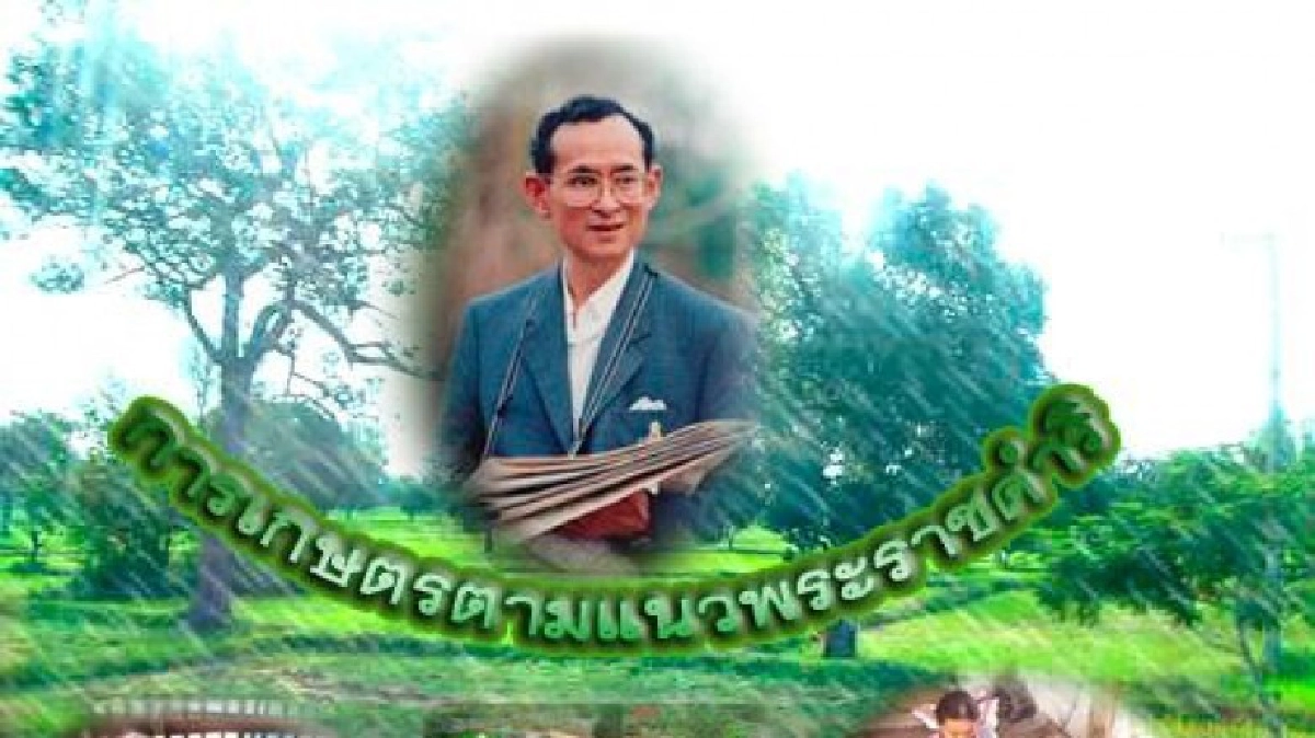 โคก-หนอง-นา โมเดล : วิถีแก้วิกฤตด้วยศาสตร์พระราชา โคก-หนอง-นา โมเดล : วิถีแก้วิกฤตด้วยศาสตร์พระราชา