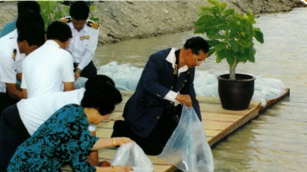 "ปลานิลของพ่อ"จาก50ตัว...สร้างรายได้นับแสนล้านบาท