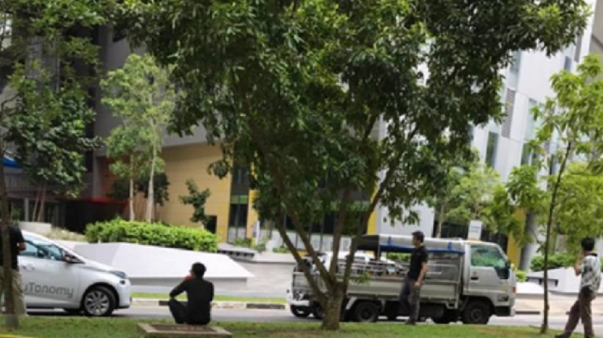 รถไร้คนขับในสิงคโปร์ ชนรถบรรทุกขณะทดลองวิ่ง รถไร้คนขับในสิงคโปร์ ชนรถบรรทุกขณะทดลองวิ่ง