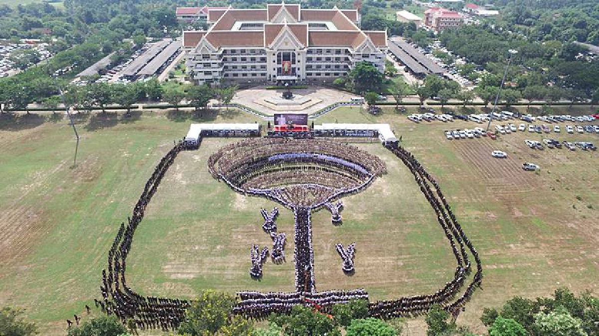 หลอมใจแปรขบวนเป็นภาพ“ต้นยางนา”ต้นไม้พระราชทาน หลอมใจแปรขบวนเป็นภาพ“ต้นยางนา”ต้นไม้พระราชทาน