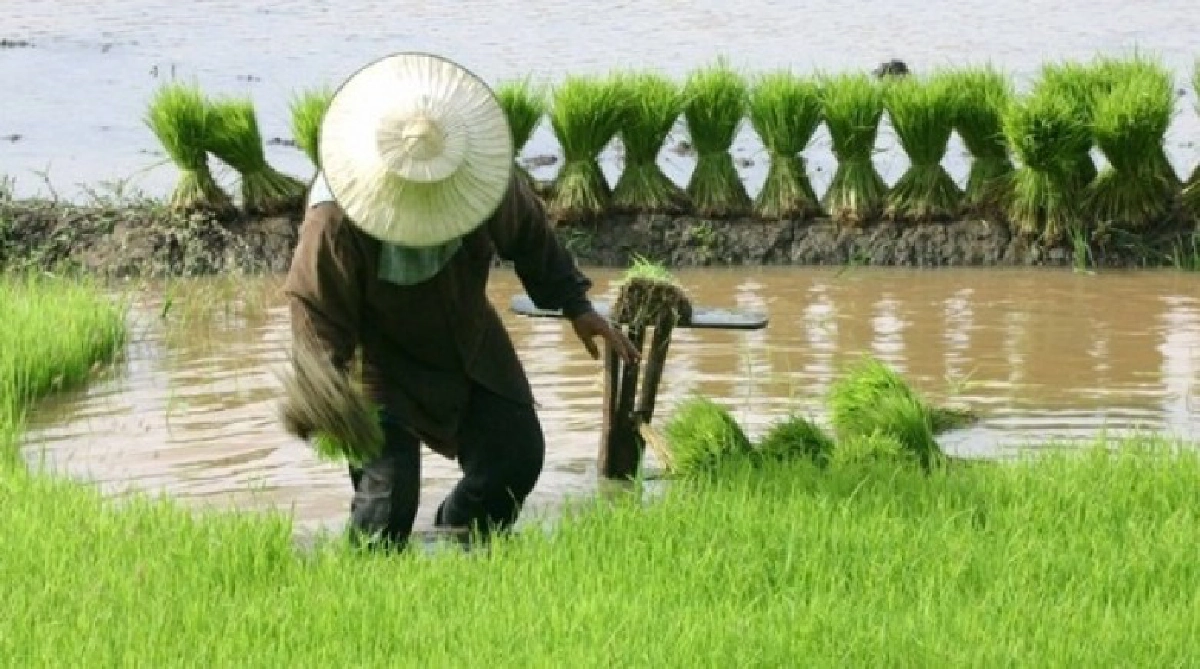 ผนึกรัฐ-องค์กรฯ สร้างเข้มแข็งชาวนา