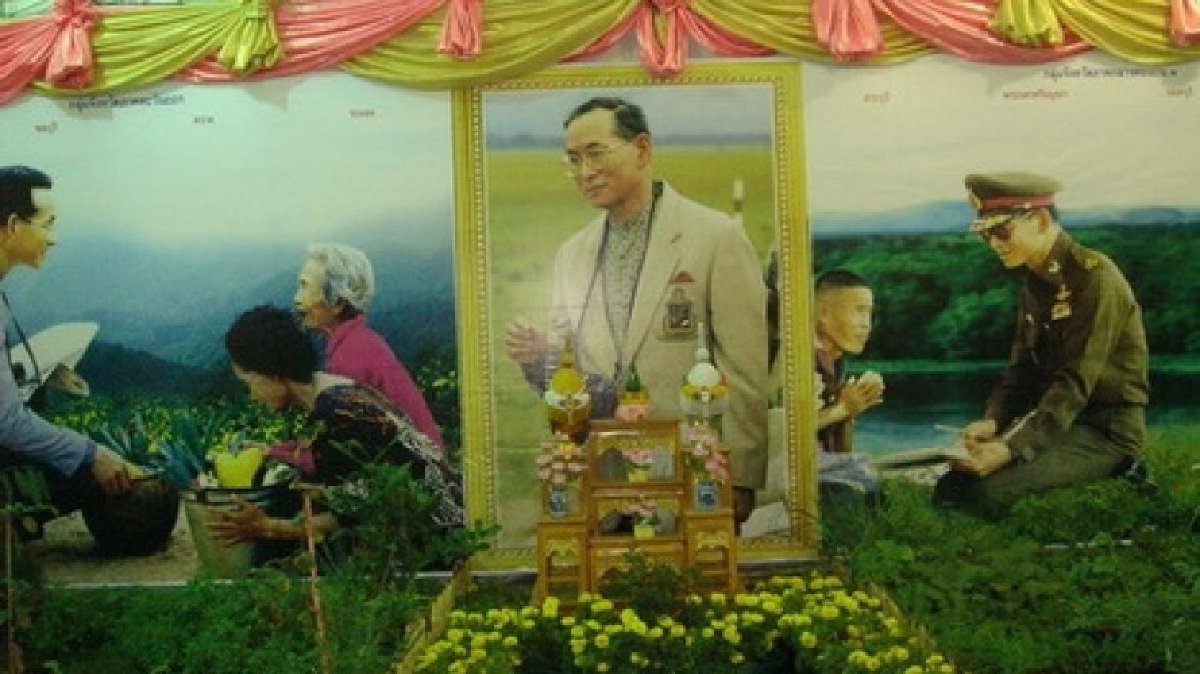 "ดาวเรือง"ดอกไม้ของพ่อ "ดาวเรือง"ดอกไม้ของพ่อ