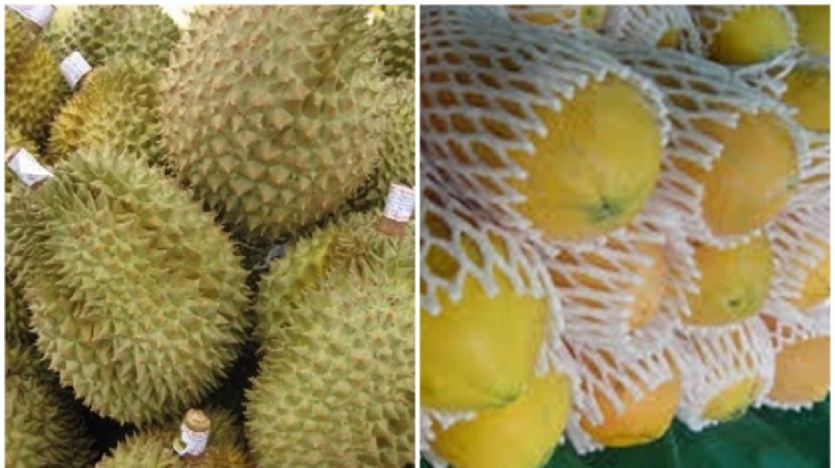 มะละกอ-ทุเรียนปรับลด : ดอกมะลิพุ่ง150บาท! มะละกอ-ทุเรียนปรับลด : ดอกมะลิพุ่ง150บาท!