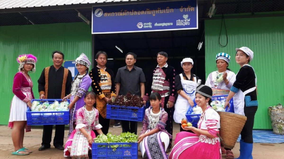 “เกษตรทฤษฎีใหม่”บนภูทับเบิก “เกษตรทฤษฎีใหม่”บนภูทับเบิก