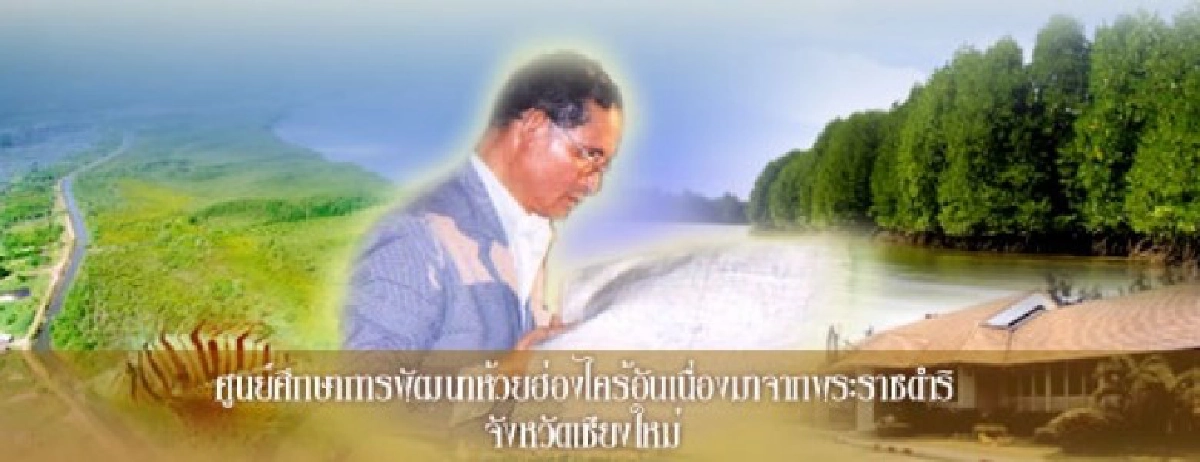 โชว์พระอัจฉริยภาพด้านน้ำ ให้รัฐมนตรีทั่วโลกได้ชม โชว์พระอัจฉริยภาพด้านน้ำ ให้รัฐมนตรีทั่วโลกได้ชม