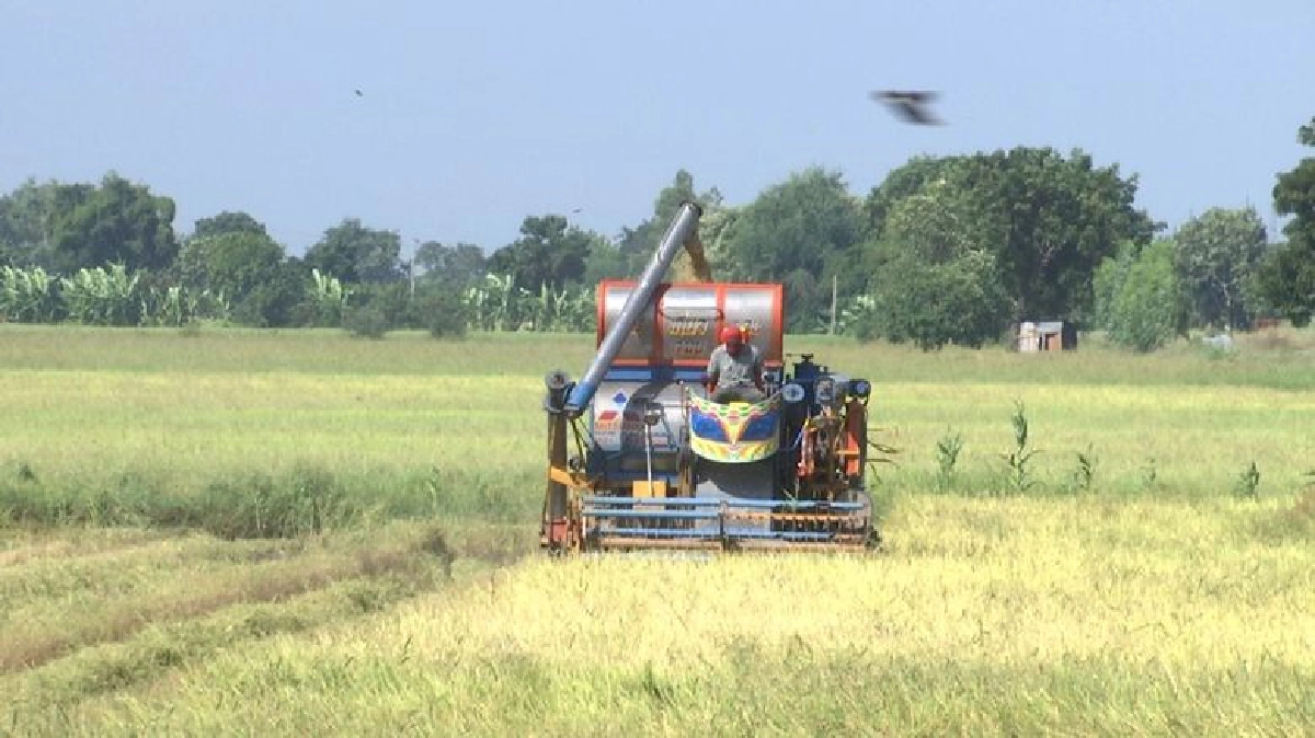 “ชาวนา”ระทมขายข้าวได้ตันละ5พันซ้ำถูกหักค่ารถ-ค่าชั่ง