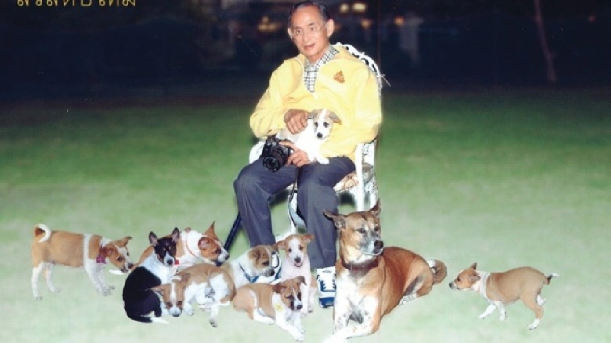 ด้วยพระเมตตา จากคุณติโตถึงคุณทองแดง