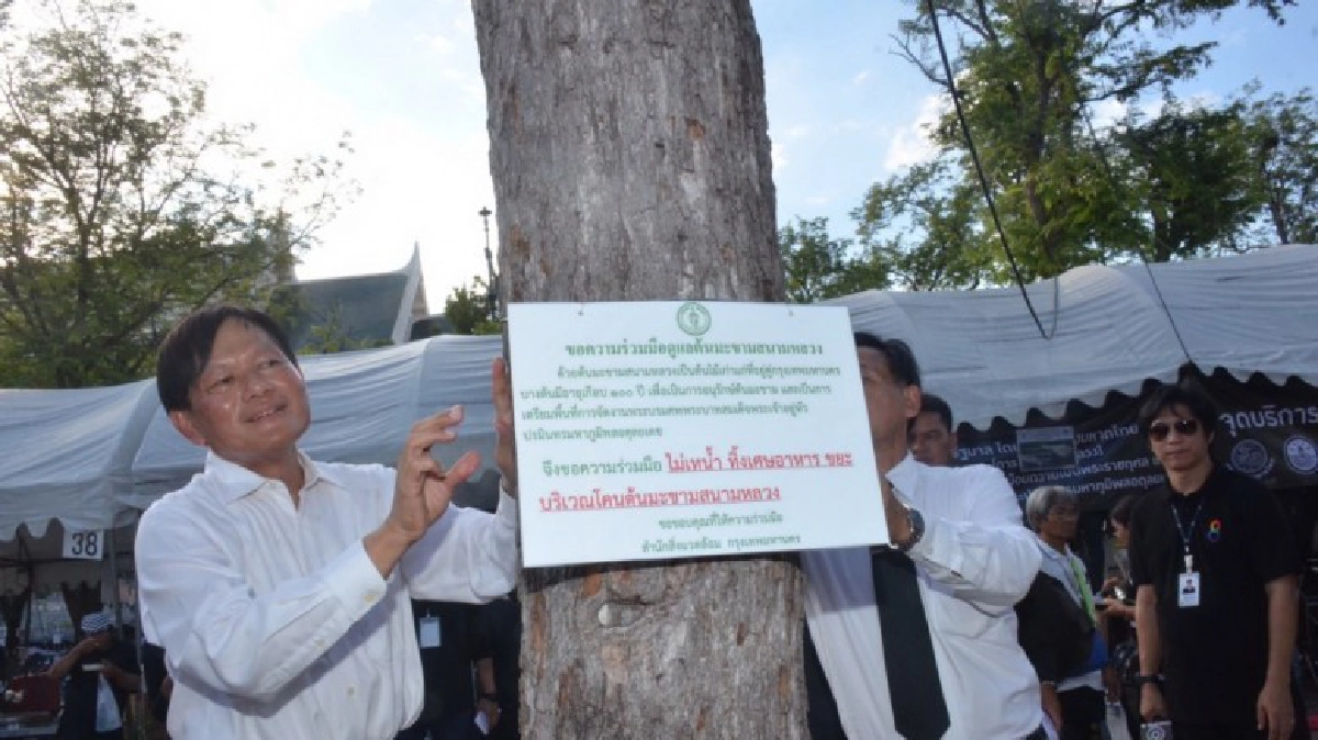 “ศูนย์อาสาฯ” พร้อมช่วย กทม. แก้ปัญหาต้นมะขาม “ศูนย์อาสาฯ” พร้อมช่วย กทม. แก้ปัญหาต้นมะขาม