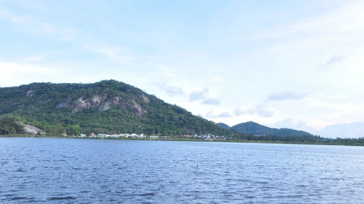 พ่อเจ้าอยู่หัว พ่อผู้ชุบชีวิตคนเขาเต่า