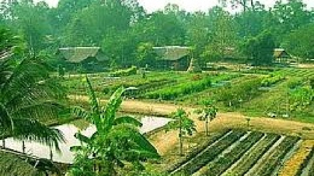 จุดยืนปี60กรมส่งเสริมฯ สานโครงการพระราชดำริ จุดยืนปี60กรมส่งเสริมฯ สานโครงการพระราชดำริ
