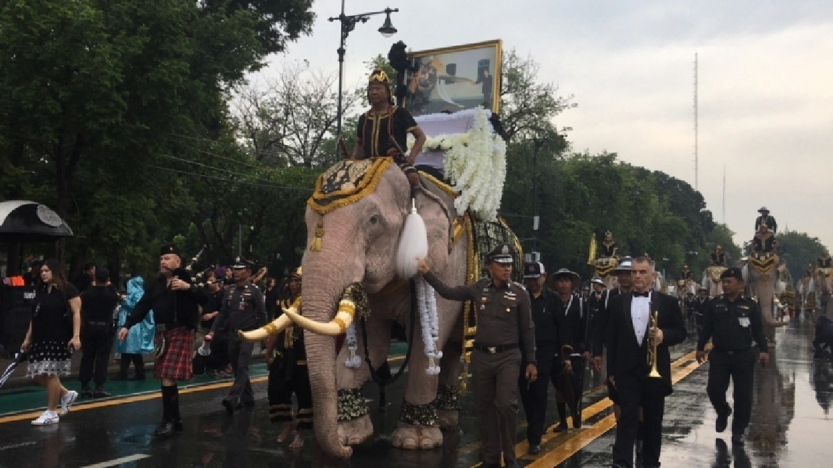 ช้าง11 เชือกถวายอาลัยหน้าพระบรมมหาราชวัง(ชมคลิป)