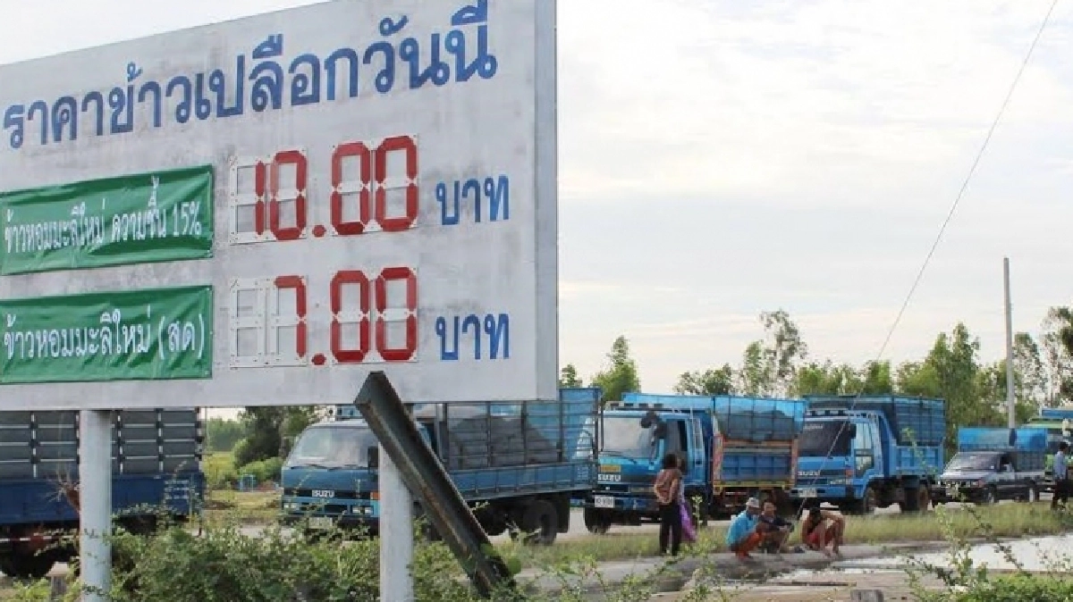 ซื่้อข้าวเปลือก1.15-1.3หมื่นบาท ยอดขายข้าวพุ่ง1.6หมื่นตัน