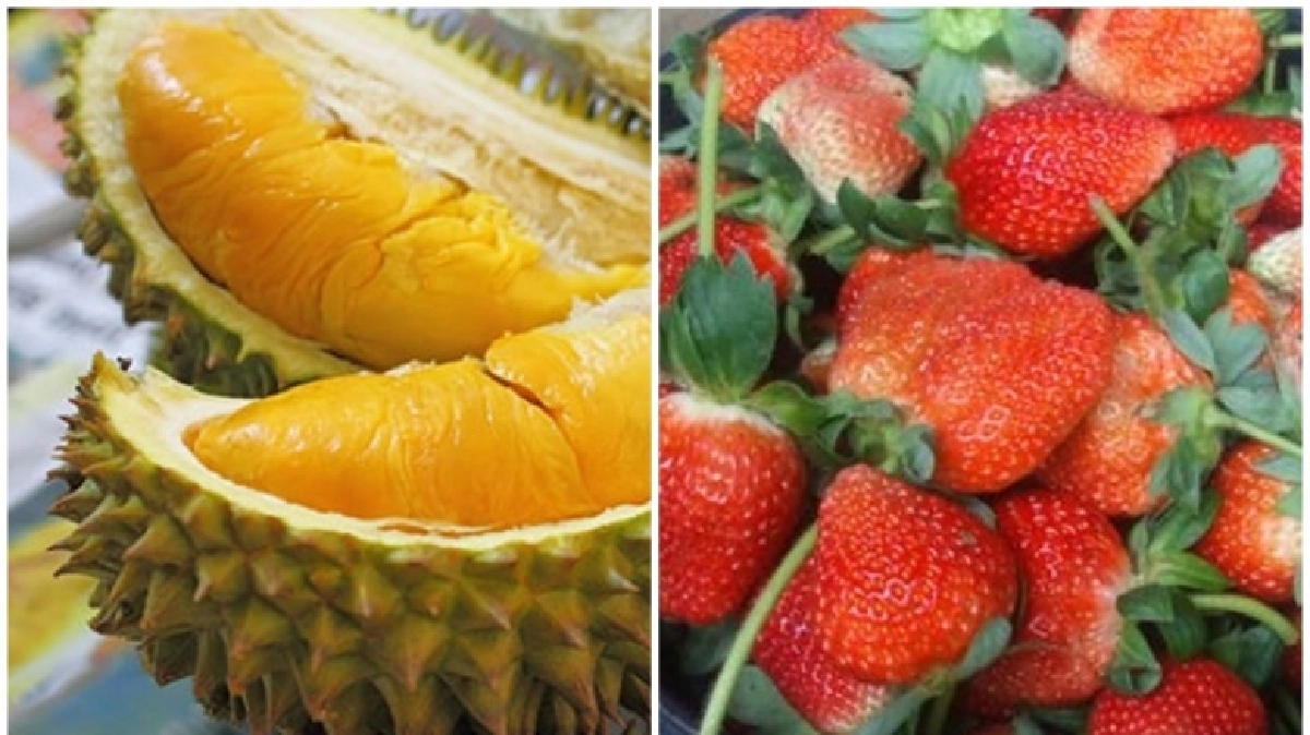 "สตอเบอรี่"โล180 ทุเรียนขยับขึ้น10บาท!