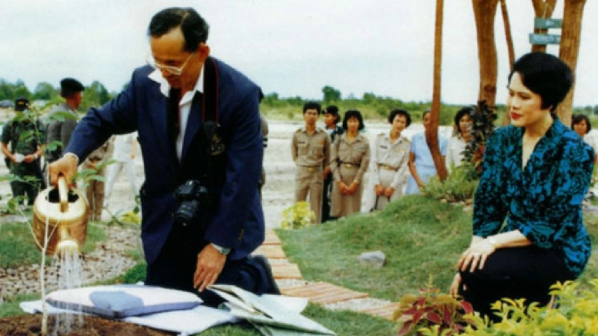 วิถีของพ่อ วิถีธรรมชาติบำบัด วิถีของพ่อ วิถีธรรมชาติบำบัด