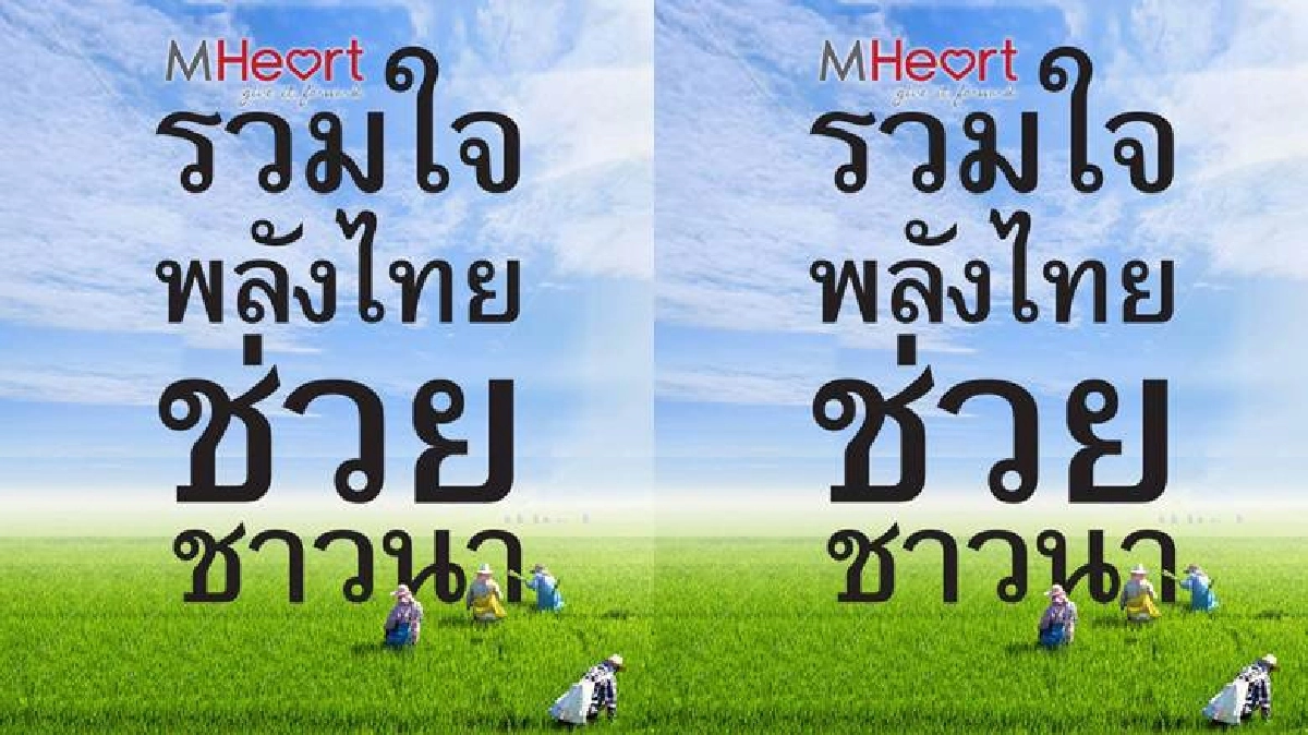 เดอะมอลล์ ผนึกกำลังภาครัฐ เปิดพื้นที่ให้ชาวนาขายข้าวฟรี!! เดอะมอลล์ ผนึกกำลังภาครัฐ เปิดพื้นที่ให้ชาวนาขายข้าวฟรี!!