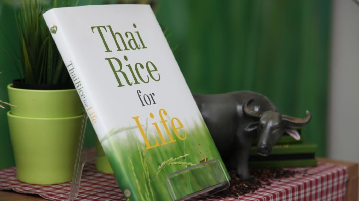 อัตลักษณ์“ข้าวไทย”ตอบโจทย์พัฒนาสู่ความยั่งยืน