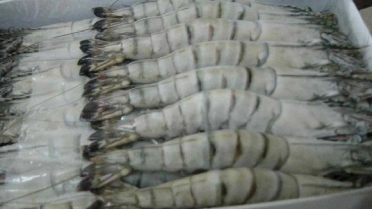 ปลดล็อค"เม็กซิโก"นำเข้ากุ้งไทยได้แล้ว!