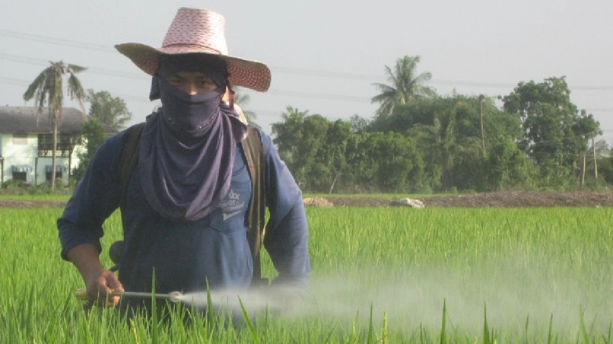 “ชาตรี เพชรแอน”ชาวนารุ่นใหม่คิดปลอดภัย-ลดต้นทุน