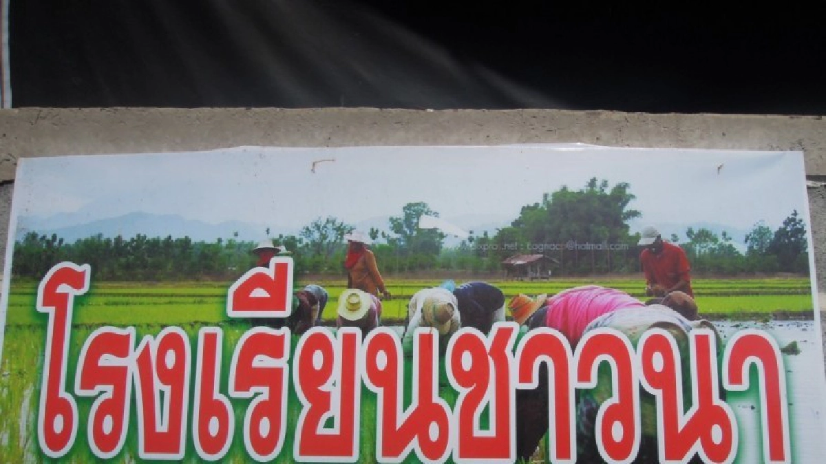 “เบรีย”ต้นแบบผลิตข้าวยั่งยืน สู่ทางรอดชาวนา"เดชอุดม"