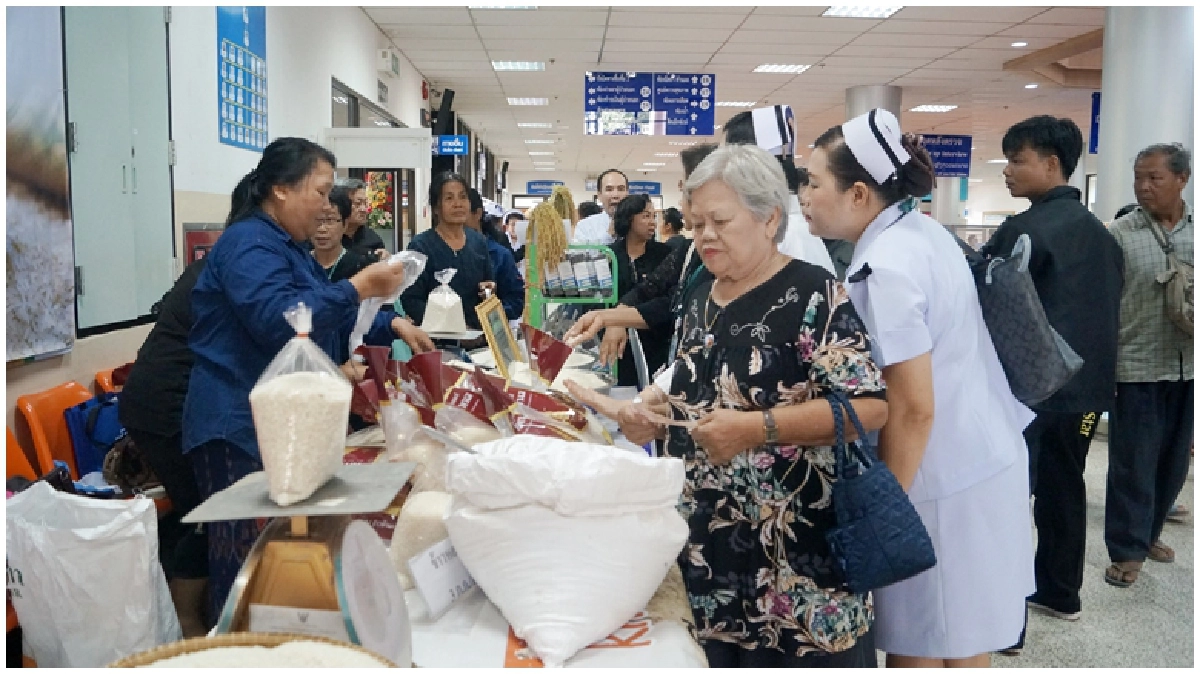 “สธ.”ช่วยชาวนา 11 ล้านบาท ซื้อข้าวสาร 3.5 แสนก.ก.