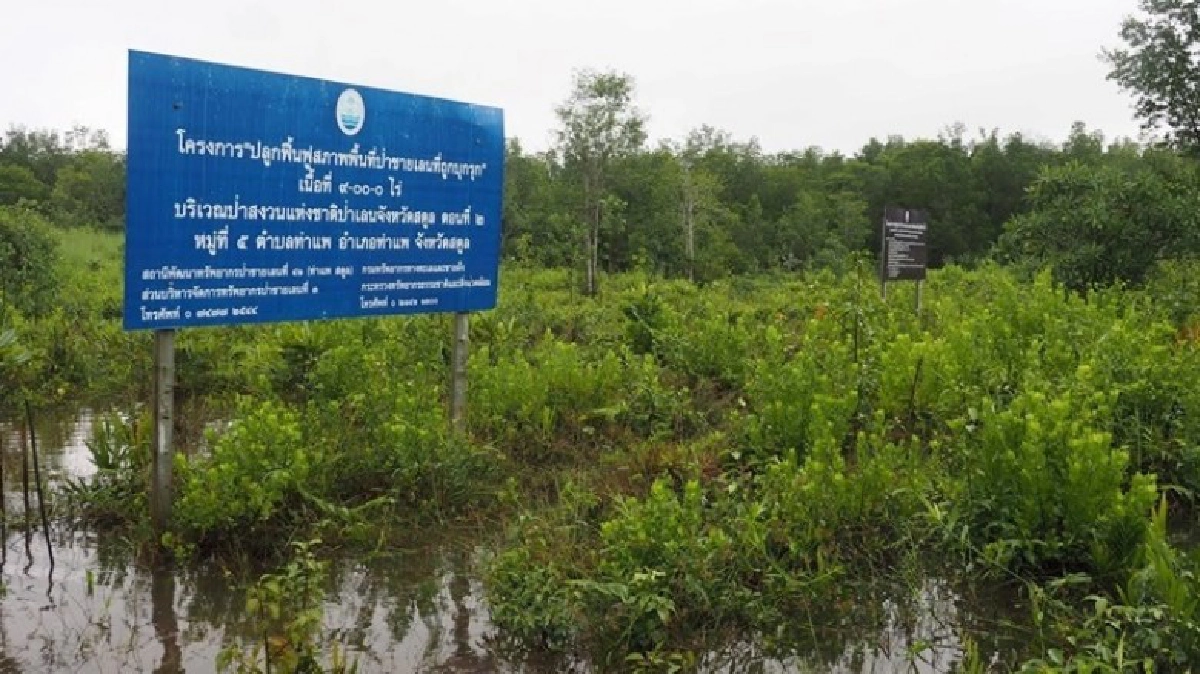 ดึงคนรุ่นใหม่รักษ์ป่าชายเลน-พัฒนาท้องถิ่นยั่งยืน