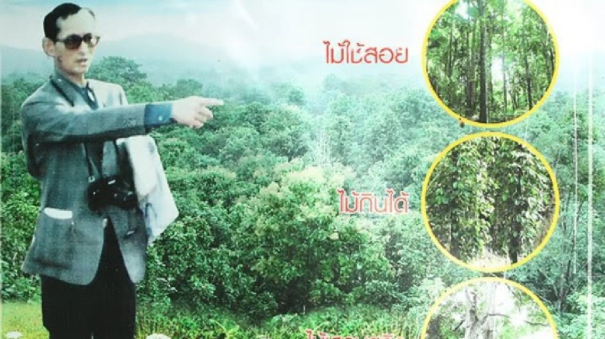 ฟื้นผืนไทยด้วยศาสตร์ของพ่อ : ป่า3อย่าง ประโยชน์4อย่าง 