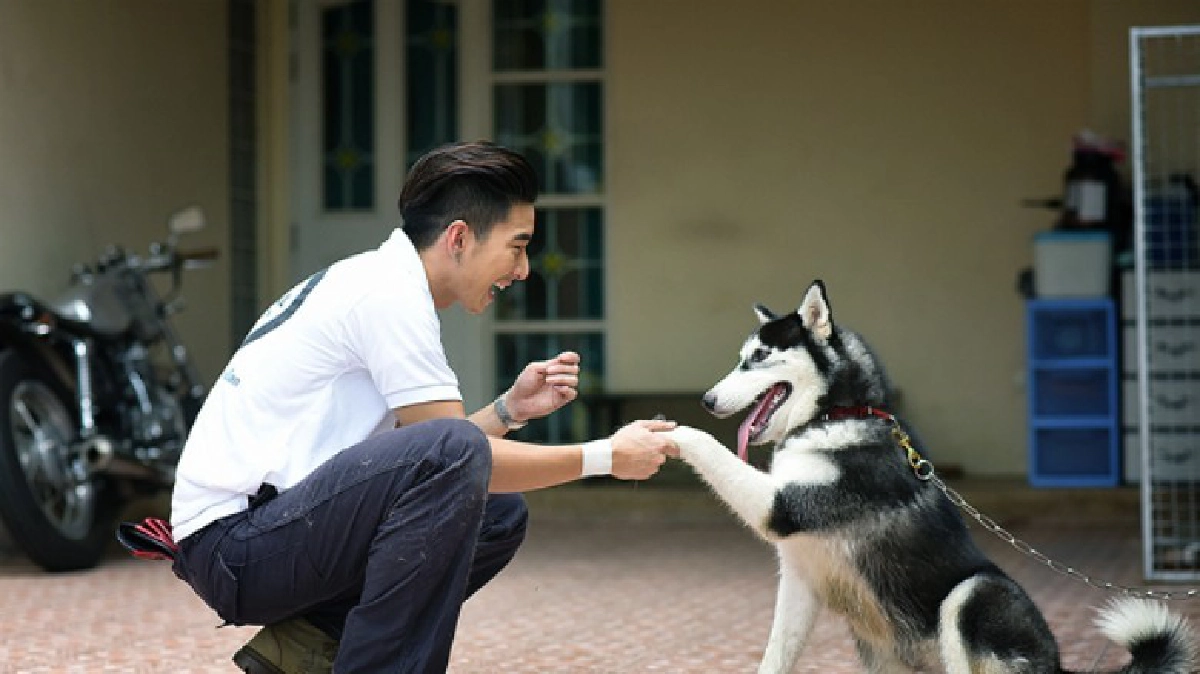 1ภาพ1วัคซีนพิษสุนัขบ้า