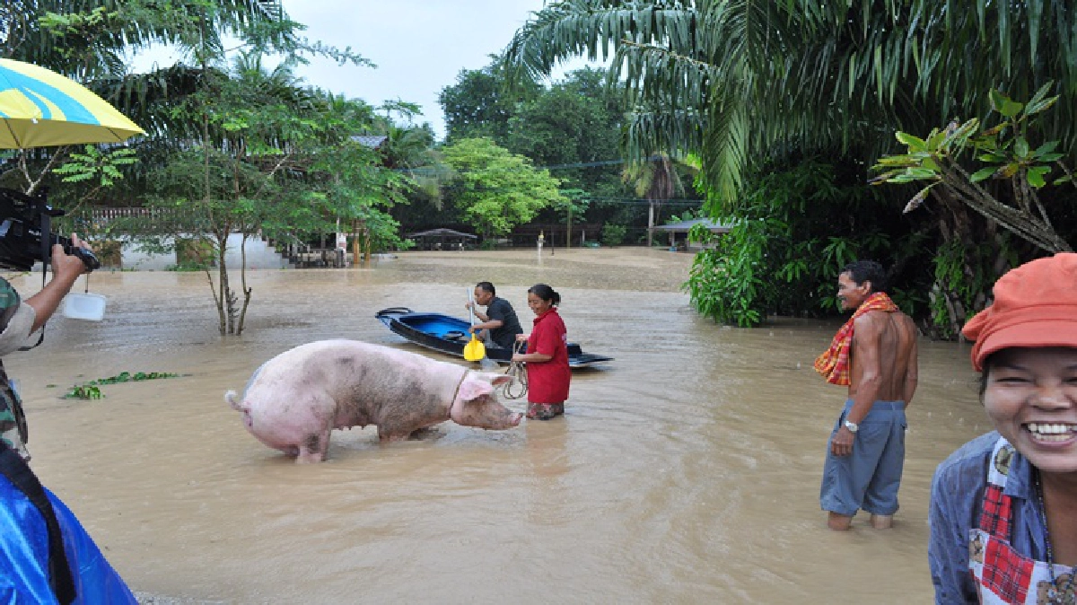 "อธิบดีปภ.”เตือน10 จว.- 39 อำเภอภาคใต้รับมือน้ำป่าหลาก
