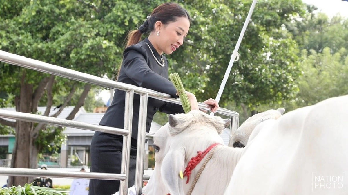 "พระองค์ภา" ทรงบำเพ็ญพระกุศลเนื่องในวันคล้ายวันประสูติ "พระองค์ภา" ทรงบำเพ็ญพระกุศลเนื่องในวันคล้ายวันประสูติ