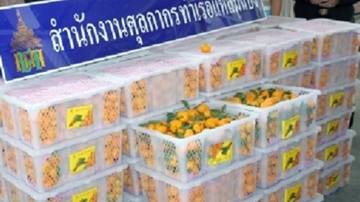 ส้มจีนทะลัก! ผุดมาตรการเข้มรับ หวั่นศัตรูพืชสอดไส้!