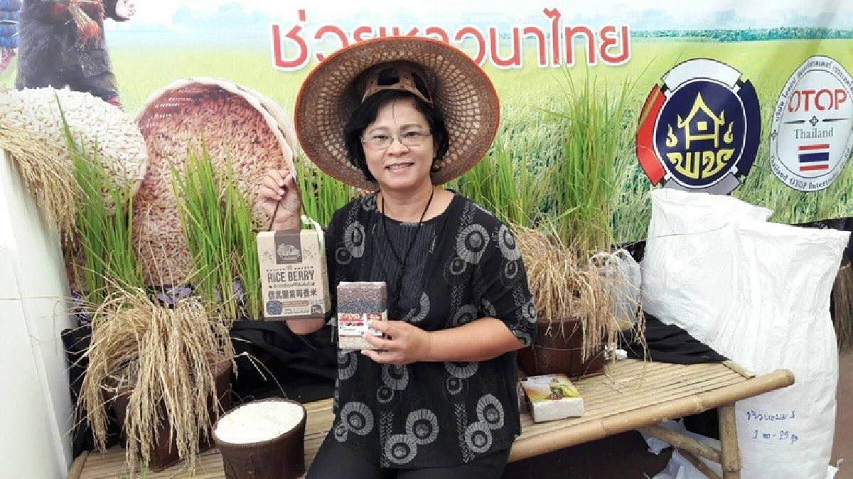 ทิ้งชีวิตคนเมืองสู่ "ชาวนามืออาชีพ" ทิ้งชีวิตคนเมืองสู่ "ชาวนามืออาชีพ"