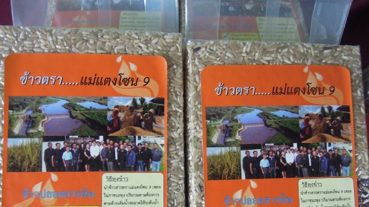 “แม่แตงโซน9”อานิสงส์นาเปียกสลับแห้ง!