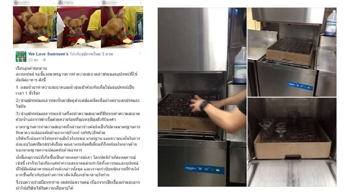 ไอศกรีมชื่อดังแจงภาพสุนัขเลียช้อนว่อนเน็ต ไอศกรีมชื่อดังแจงภาพสุนัขเลียช้อนว่อนเน็ต