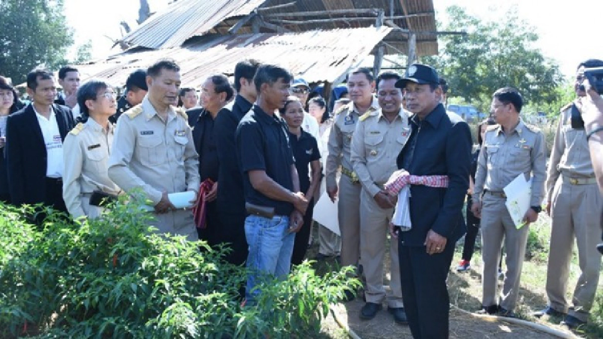 "แปลงใหญ่พริก"สกลนครฯเริ่มทำเงิน1.5หมื่นบาท/เดือน "แปลงใหญ่พริก"สกลนครฯเริ่มทำเงิน1.5หมื่นบาท/เดือน