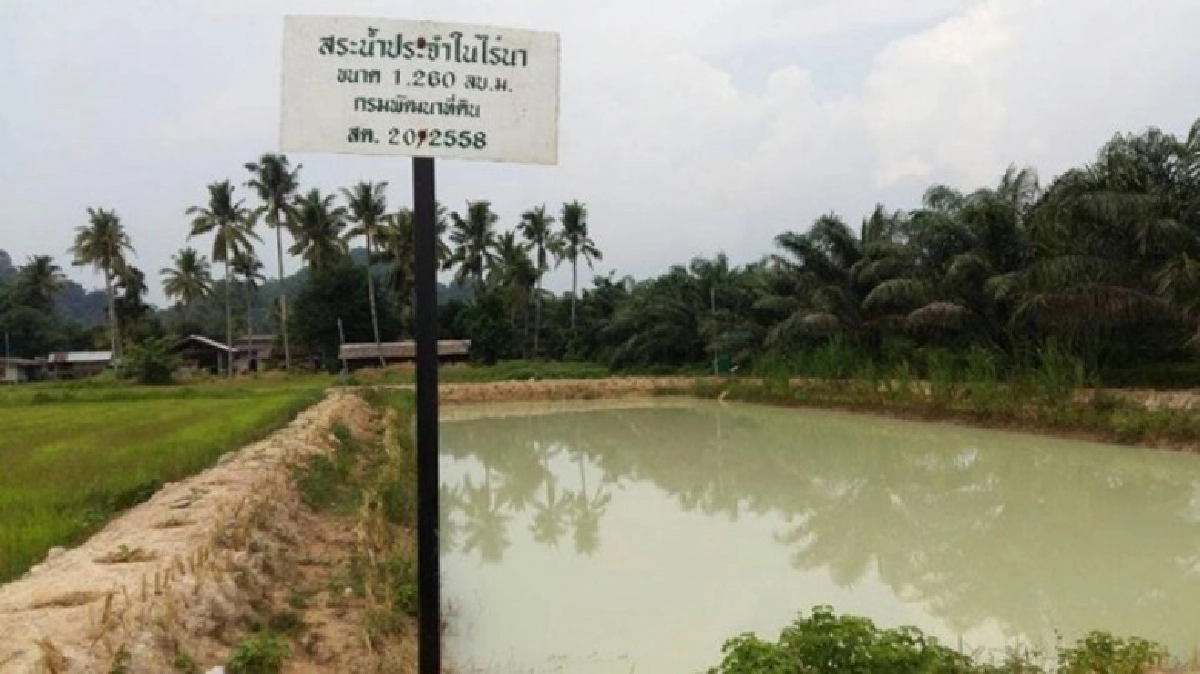 พด.เดินต่อ"บ่อจิ๋ว"ปี60ขุด7หมื่นบ่อ!