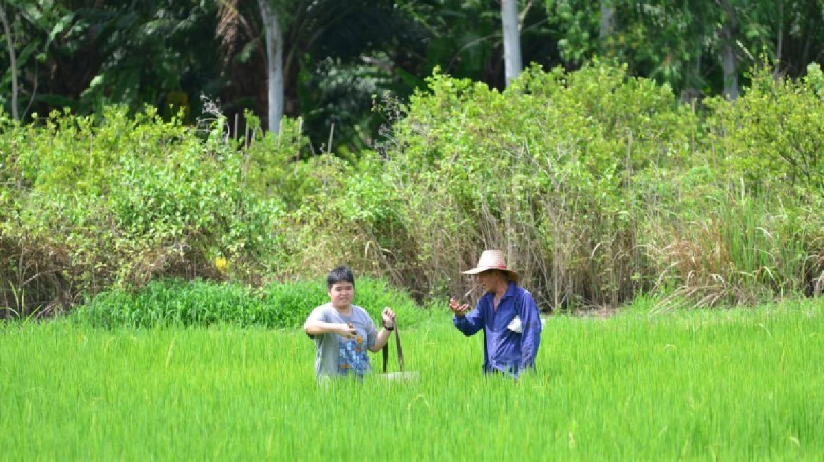 ลุงเล็ก ต้นแบบเกษตรอินทรีย์ชาวปทุมธานี
