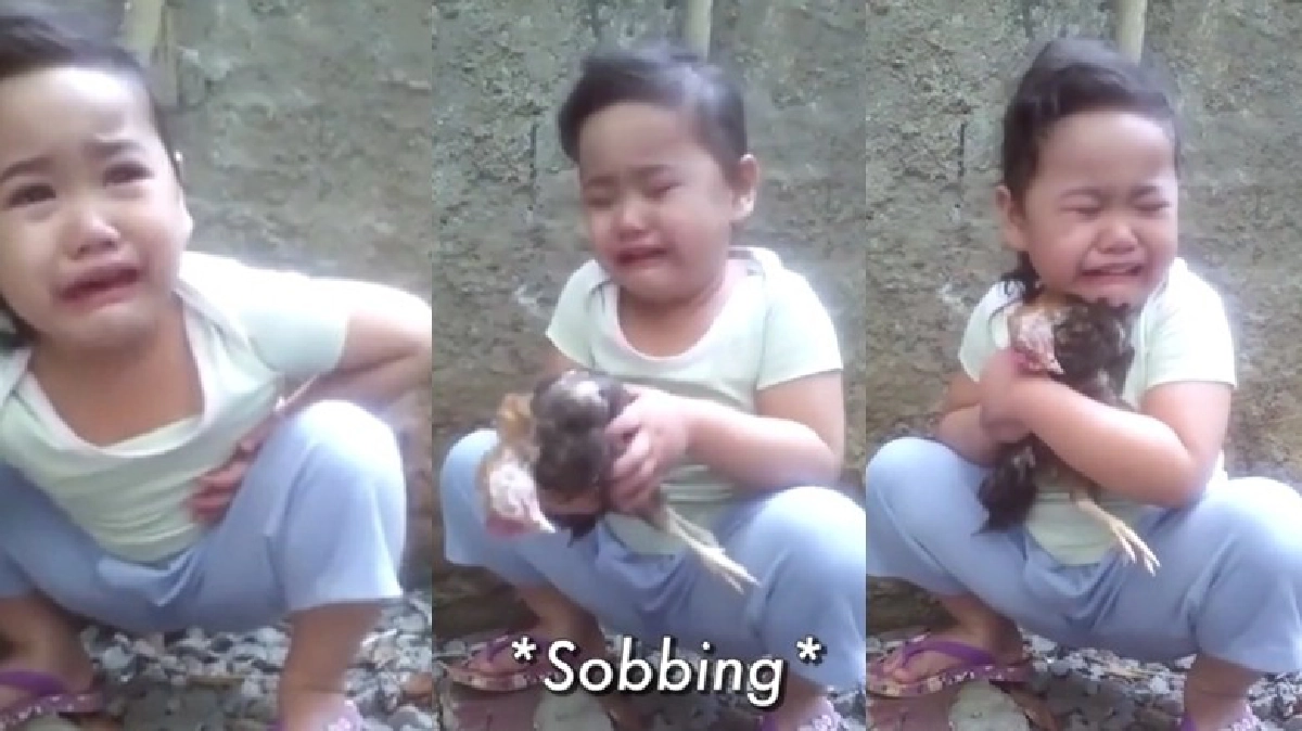 เด็กน้อยปล่อยโฮแทบจะร้องไห้ตาม!? เด็กน้อยปล่อยโฮแทบจะร้องไห้ตาม!?