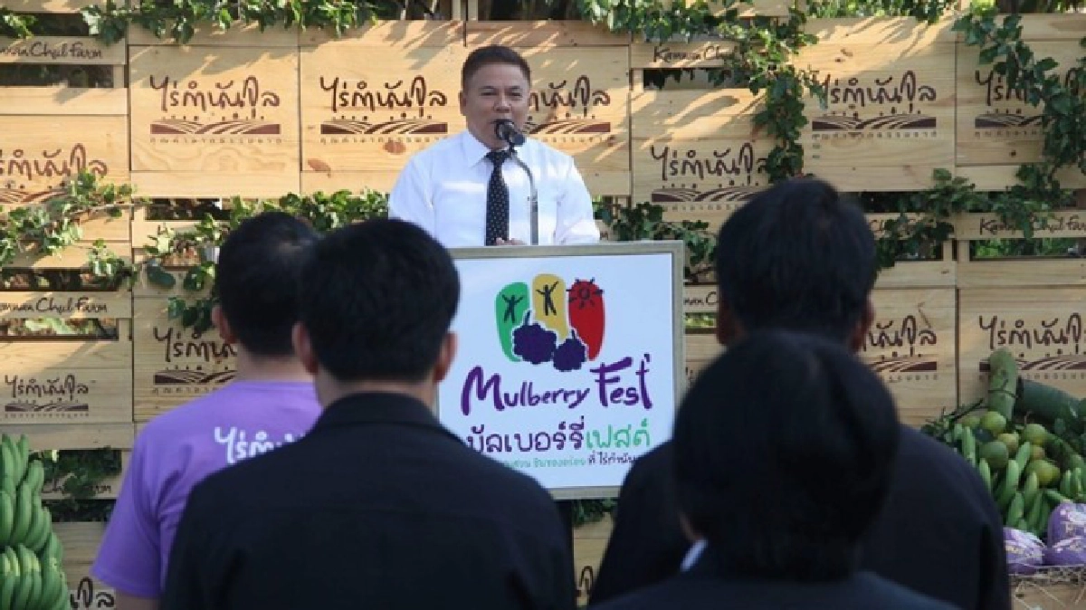 มัลเบอร์รี่เฟสต์ ณ.ไร่กำนันจุล จ.เพชรบูรณ์