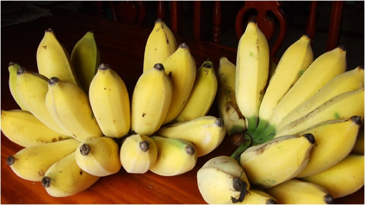 เรื่องกล้วย กล้วย.. ช่วยปากท้อง