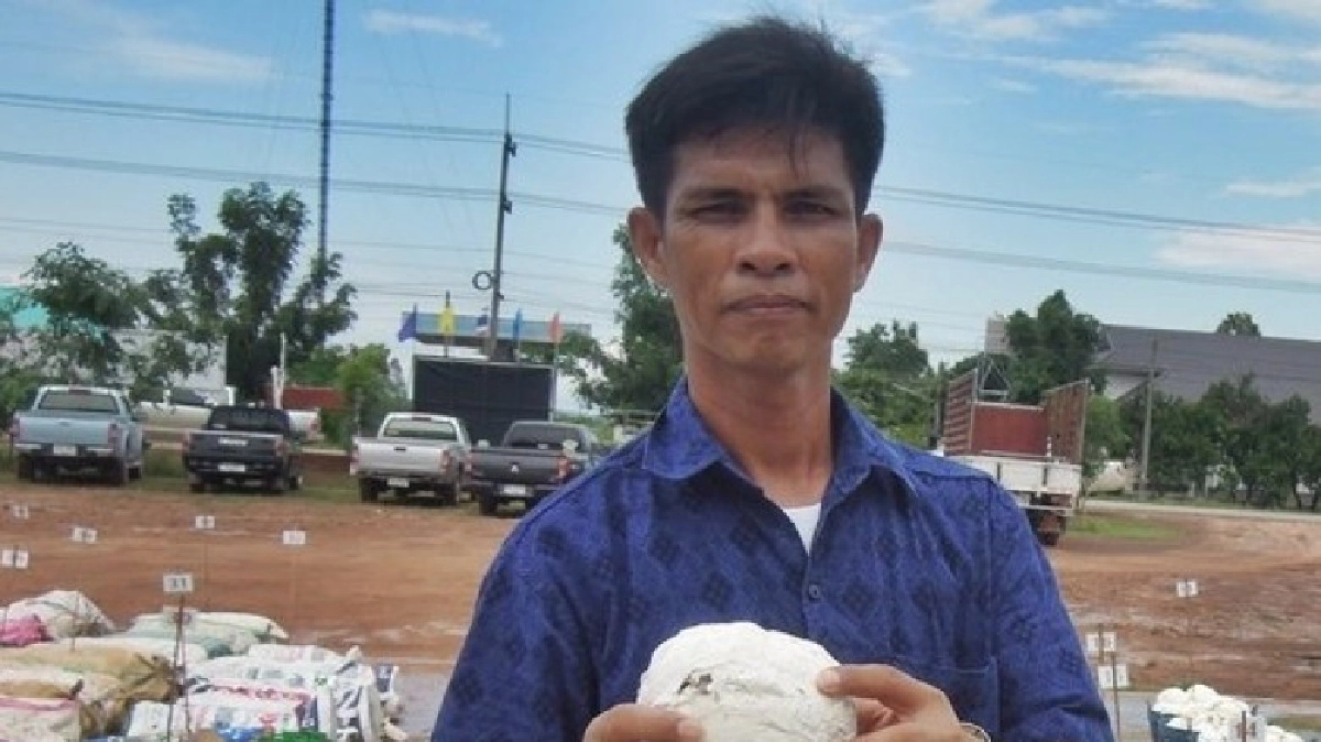 เกษตรกรนักสู้เพื่อชาวสวนยาง เกษตรกรนักสู้เพื่อชาวสวนยาง