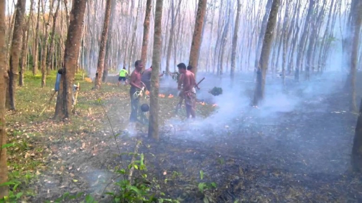 ชี้ระวังสวนยาง เสี่ยงไฟไหม้ หน้าหนาวทุกปี