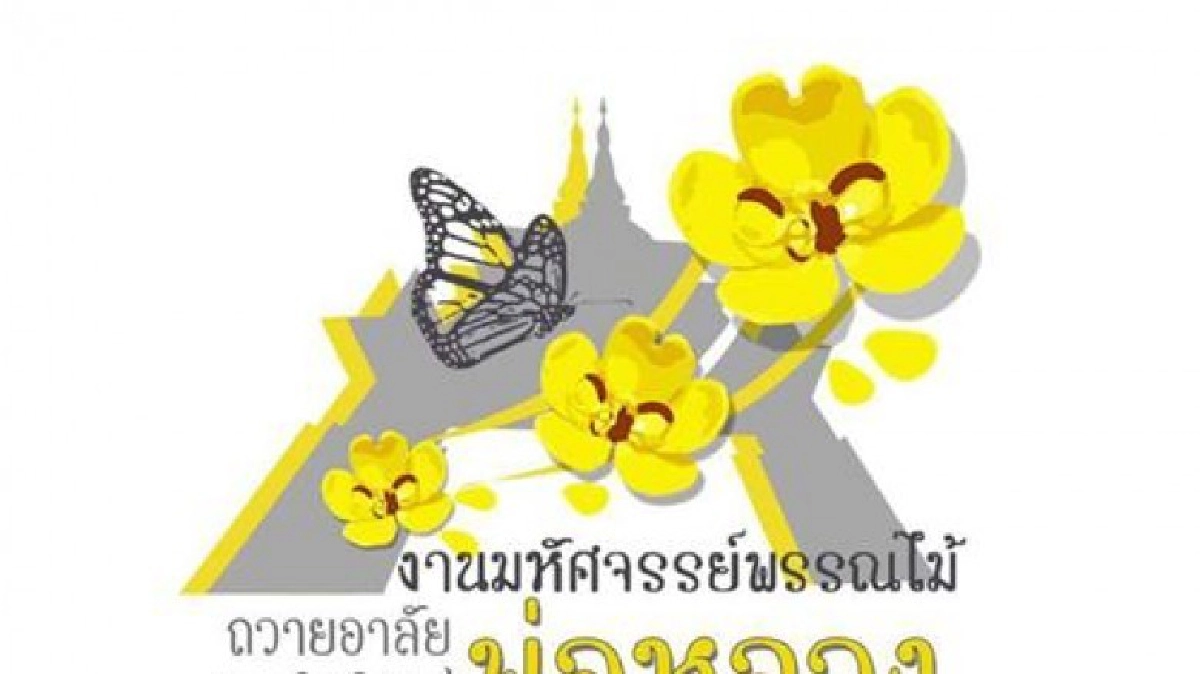 ไฮไลท์ทีวี วันพฤหัสบดีที่ 29 ธันวาคม 2559 ไฮไลท์ทีวี วันพฤหัสบดีที่ 29 ธันวาคม 2559