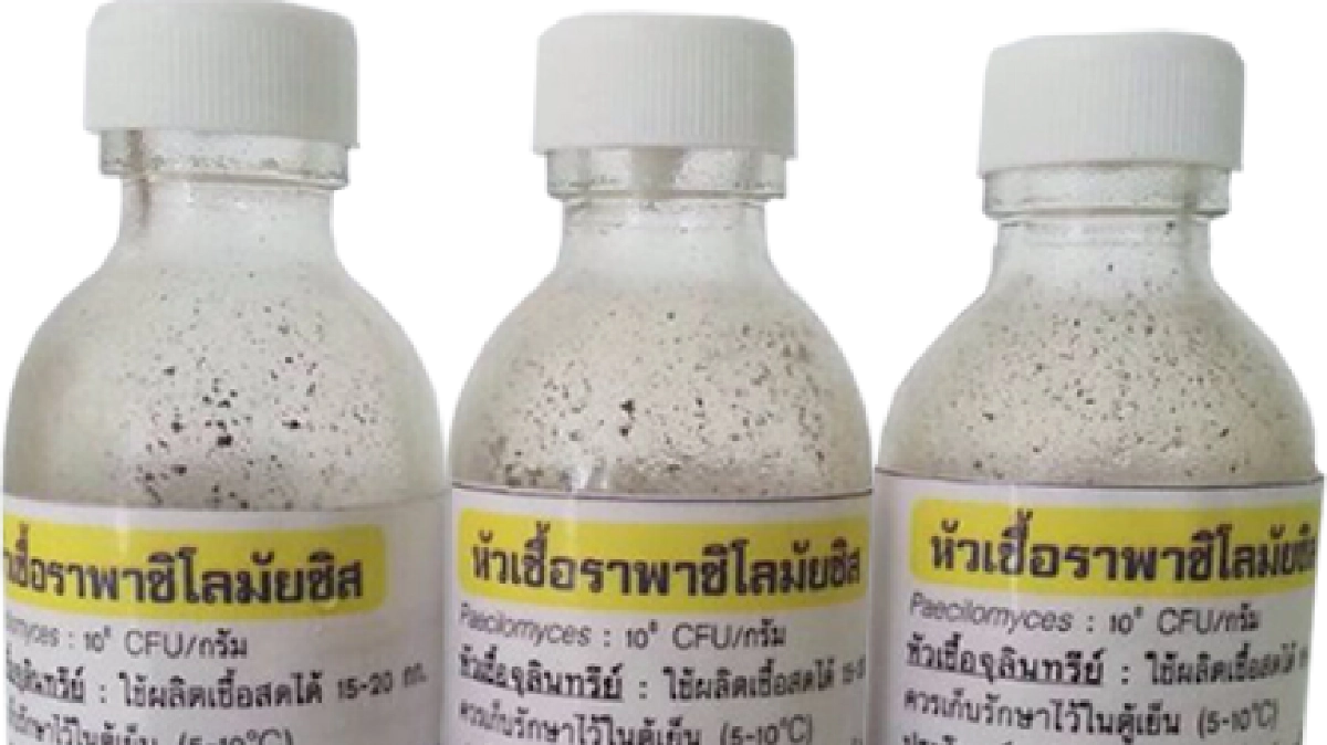 นัดชุมนุมเซียนอารักขาพืชยกระดับการผลิตสารชีวภัณฑ์ปี60 