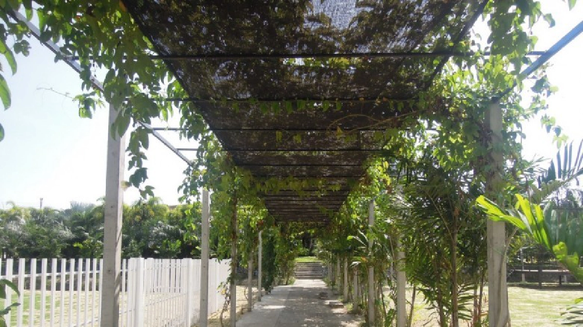 ชวนประชาชนแวะศูนย์บริการท่องเที่ยวเชิงเกษตรช่วงปีใหม่2560
