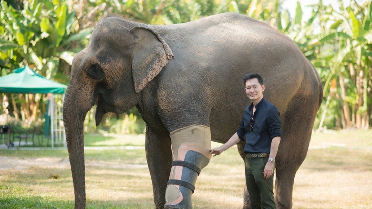 ได้สวย ได้บุญ ได้สวย ได้บุญ