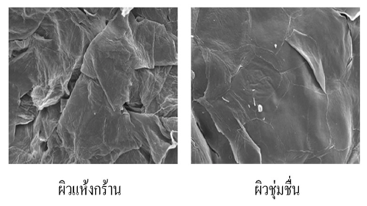 ผู้หญิงอย่าหยุดสวย ผู้หญิงอย่าหยุดสวย