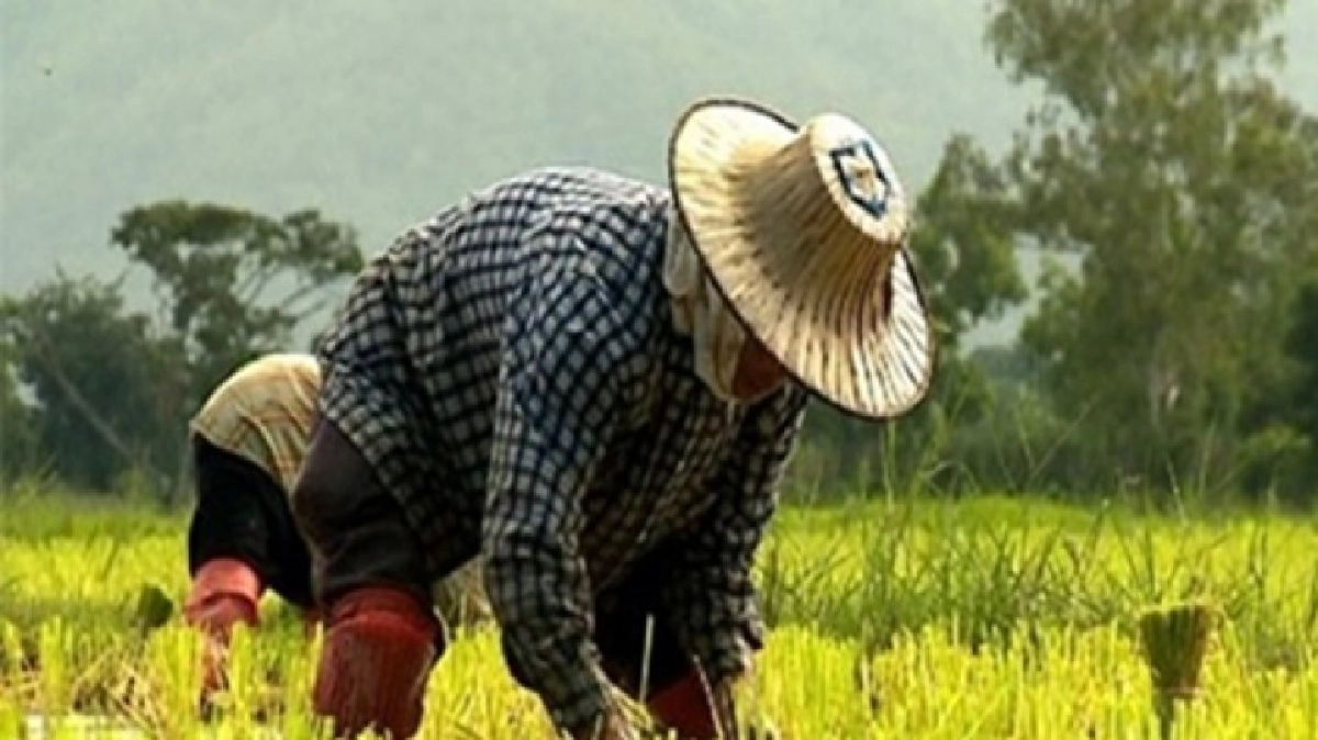 แนะเกษตรกรป้องกัน-รับมือแล้ง!