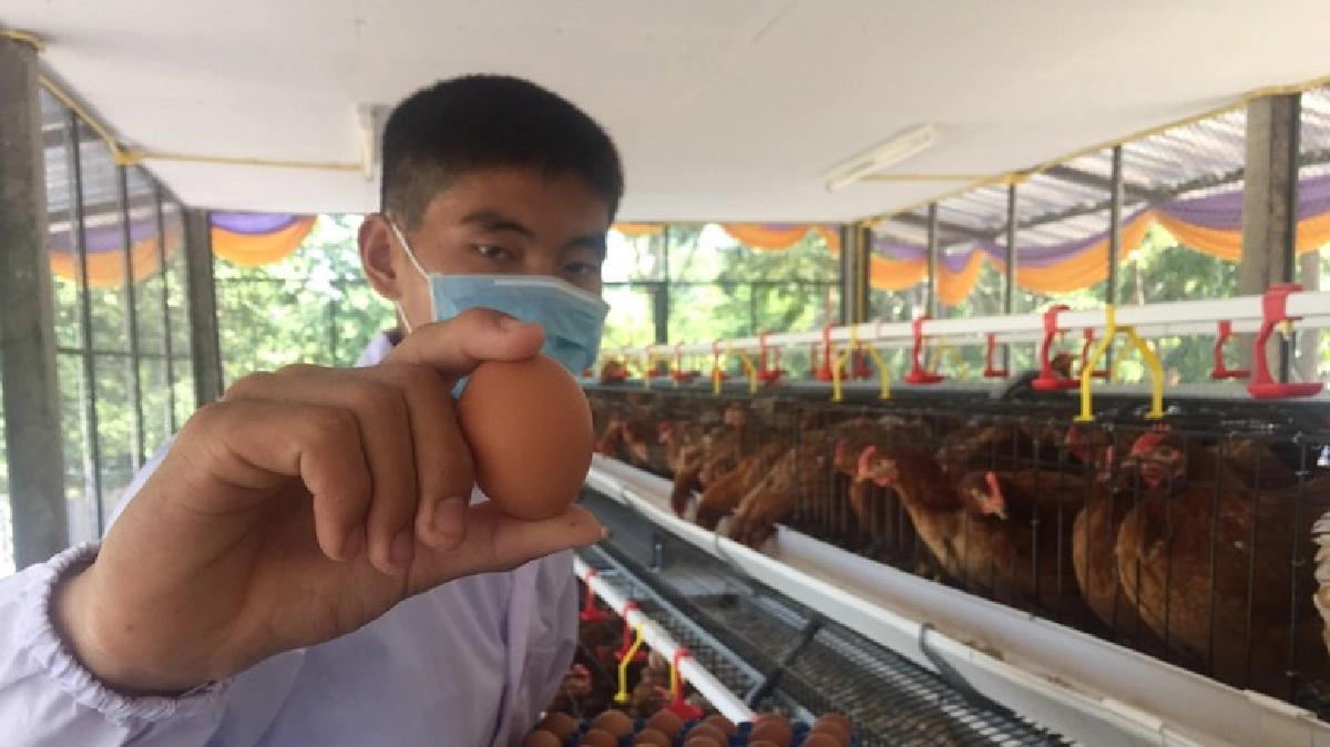 เสริมโภชนการด้วย “ไข่ไก่” เสริมโภชนการด้วย “ไข่ไก่”
