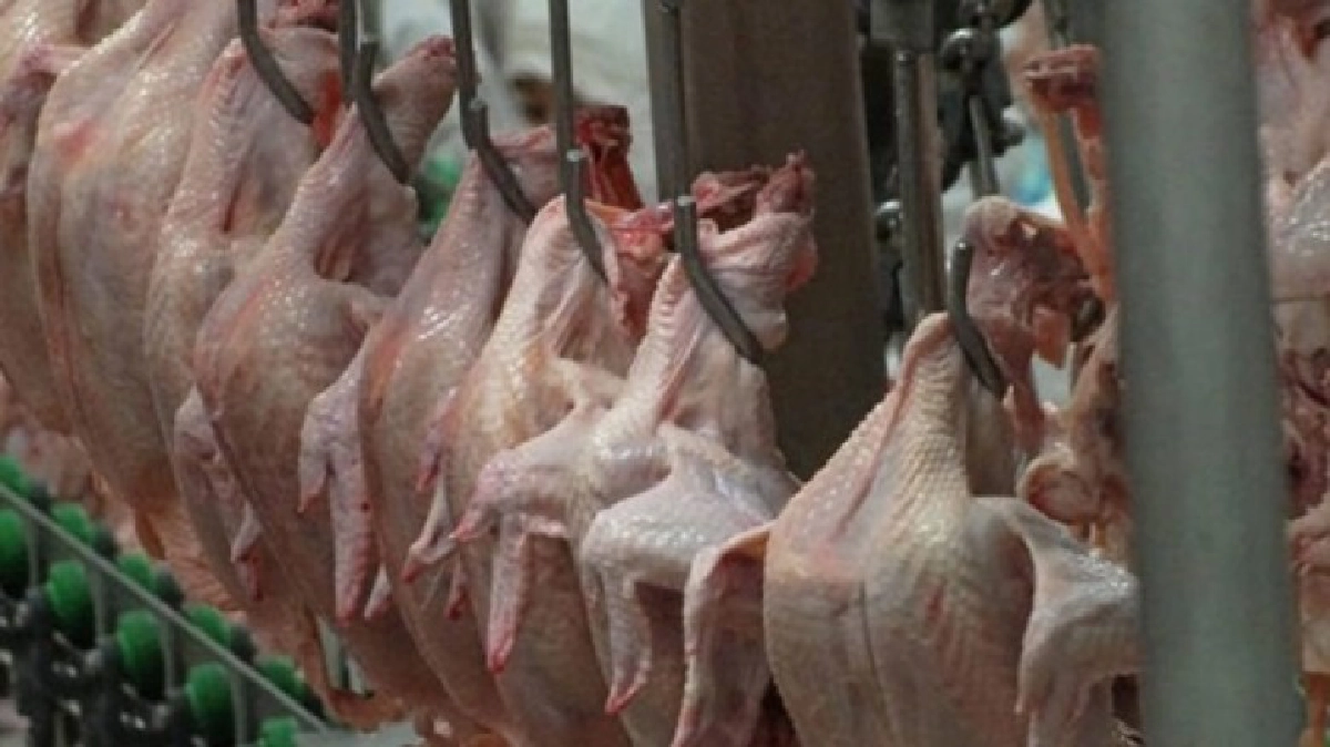 20รง.ไก่สดแช่แข็งเฮ ส่งออกเพิ่ม! 20รง.ไก่สดแช่แข็งเฮ ส่งออกเพิ่ม!